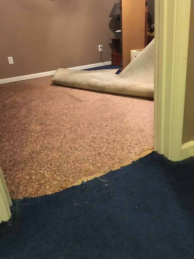 Carpet pad removal revealing water damage during Drying & Dehumidification in Roseville