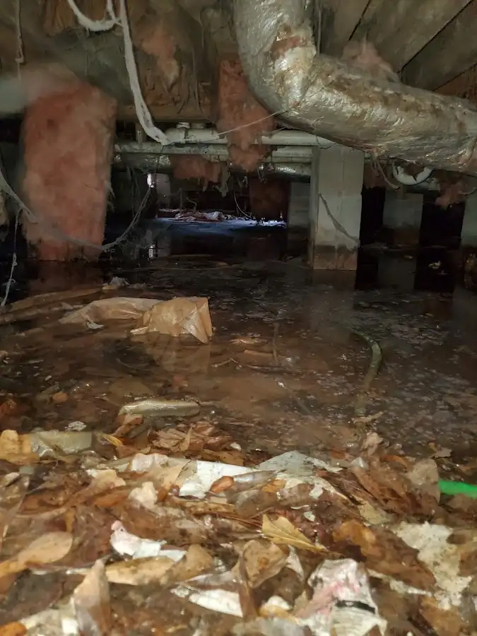 Crawl space flood assessment for Leak Detection & Repair in Roseville